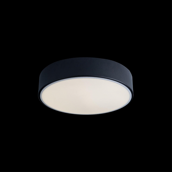 Светильник LOFT IT 10002/12 Black